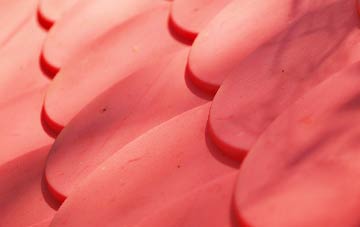 River plastic roof costs